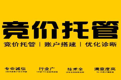 网络营销新篇章：竞价推广案例分析